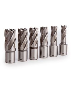 See here Mag Drill bits. These type of Mag Drill cutters are also made by Rotabroach and Magdrill.